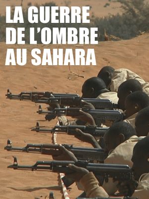 Affiche du documentaire Guerre de l'ombre au Sahara (documentaire) de Roberto Coen et Éric Nadler